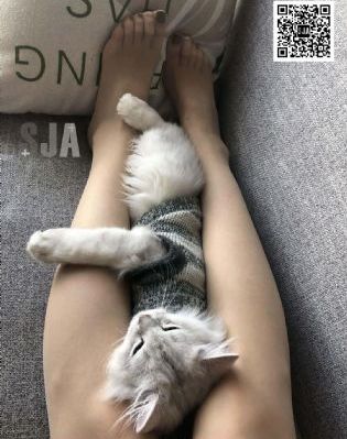 欧美性生活区_免费手机在线看观看